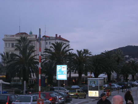 Palm trees close to the harbour